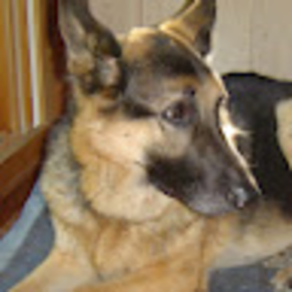 Meet your Posher, Robert - Picture 1 of 1